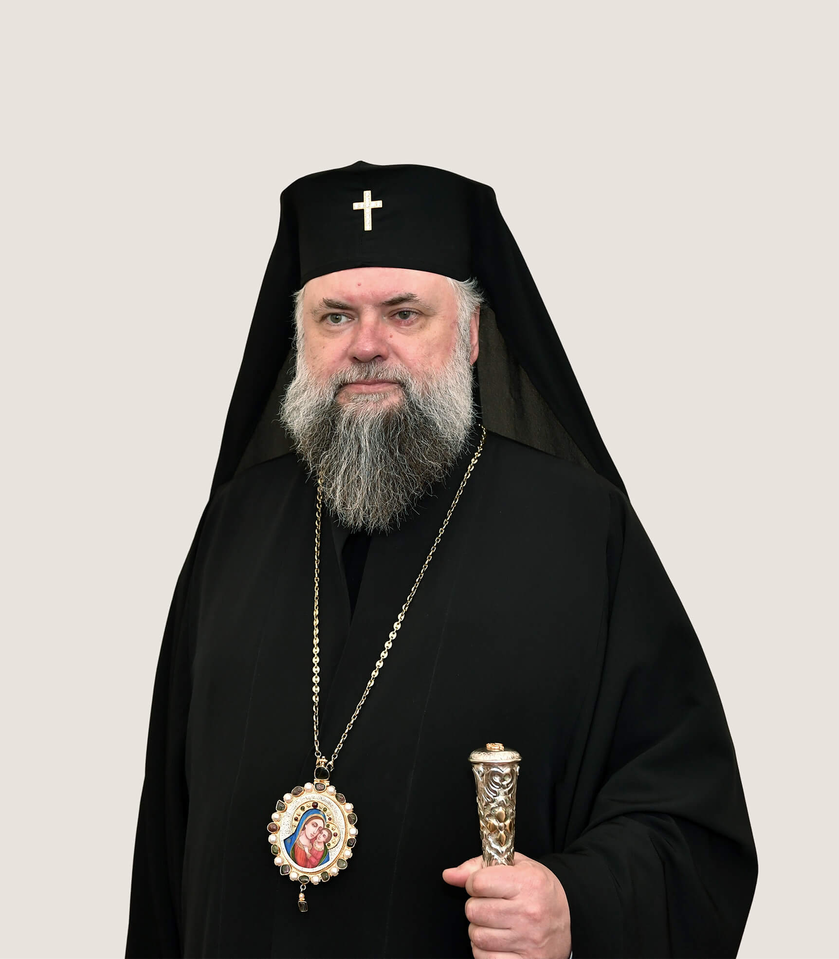 IPS Nicolae